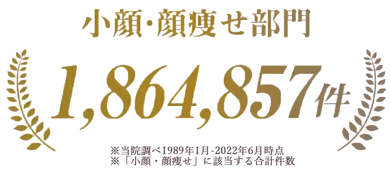 実績