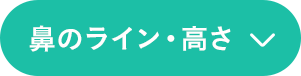 鼻のライン・高さ